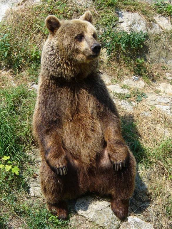 Снимка без име