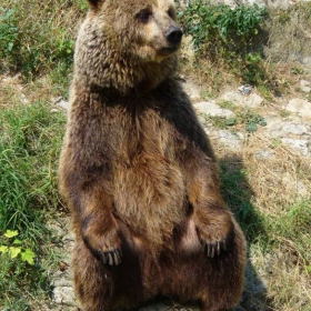 Снимка без име