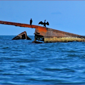 Морска приказка