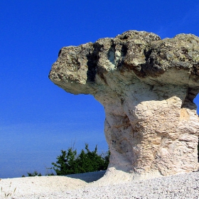 Каменните гъби край село Бели пласт, Хасковско