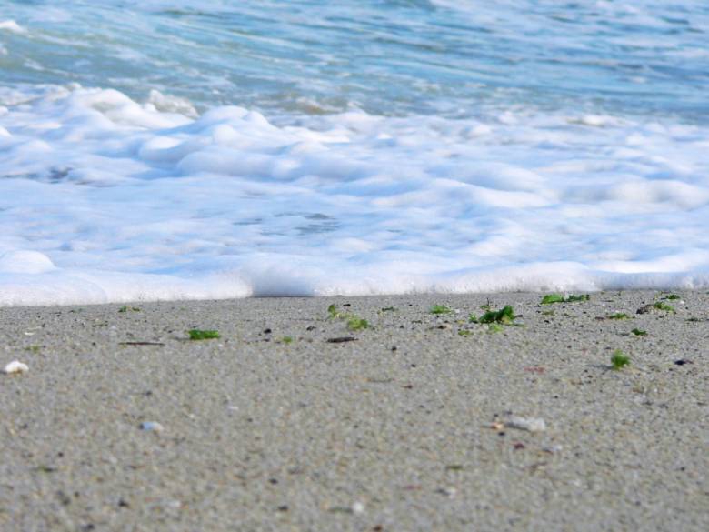 smells like sea