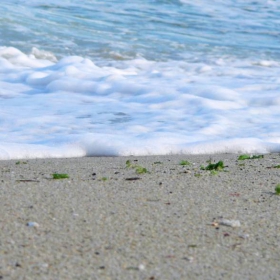 smells like sea