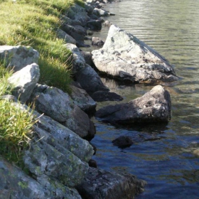 Bubreka