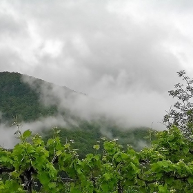 Замъгляване / след няколко ракий снощи/