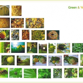 green&yellow