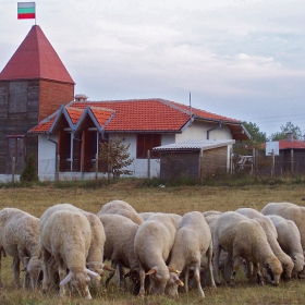 На гости в Жоржландия