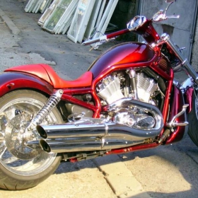 Harley...
