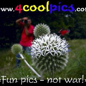 «Fun Pics – Not War»