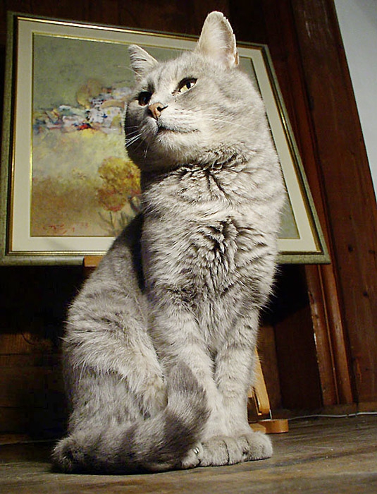 kat02