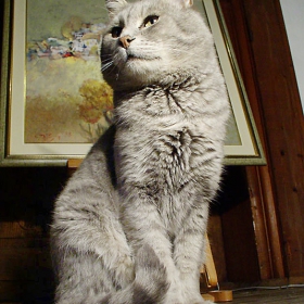 kat02