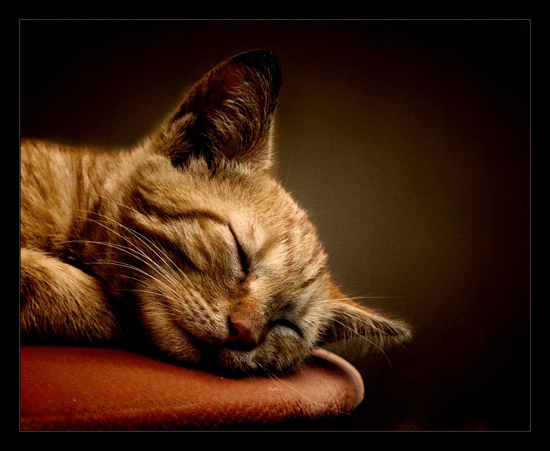 sweet dreams...