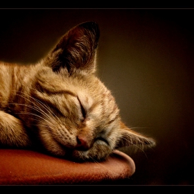 sweet dreams...