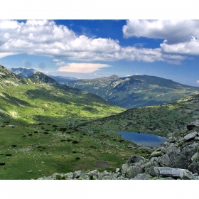 Рила