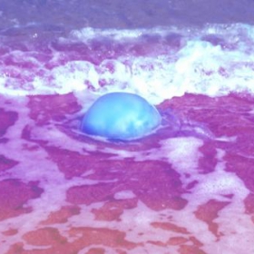 НЛО
