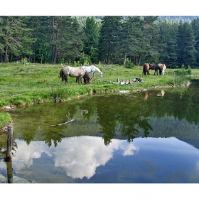 И се усмихват сините води...