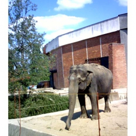 At the zoo 3