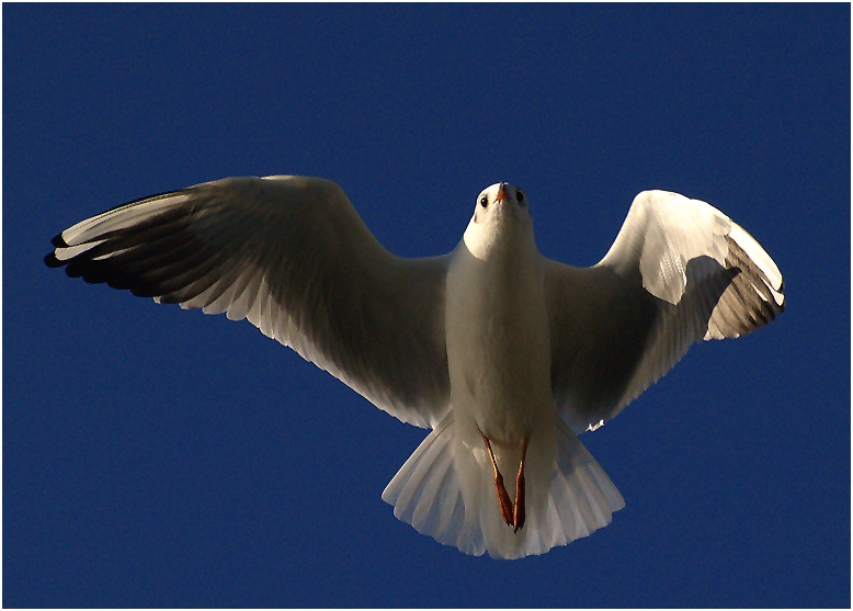 ..Staight away...