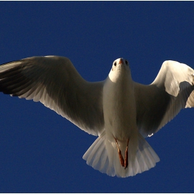 ..Staight away...