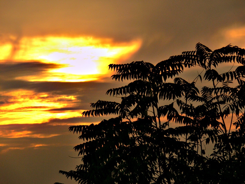 My sundown