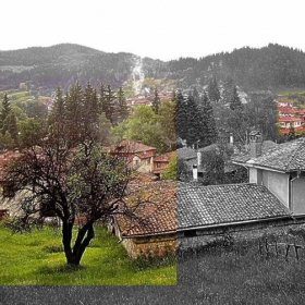 В търсене на баланс между черно-бялата и цветната фотография