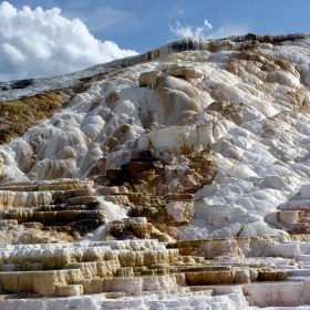 Mammoth Springs