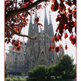 SAGRADA FAMILIA, Barcelona - 1-