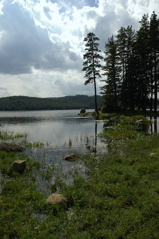 Широка Поляна ІV