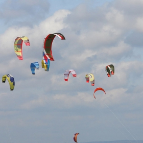 kites