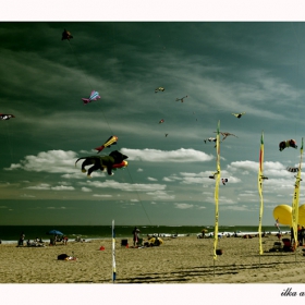 Kite Festival 2006, Ocean City, MD, USA