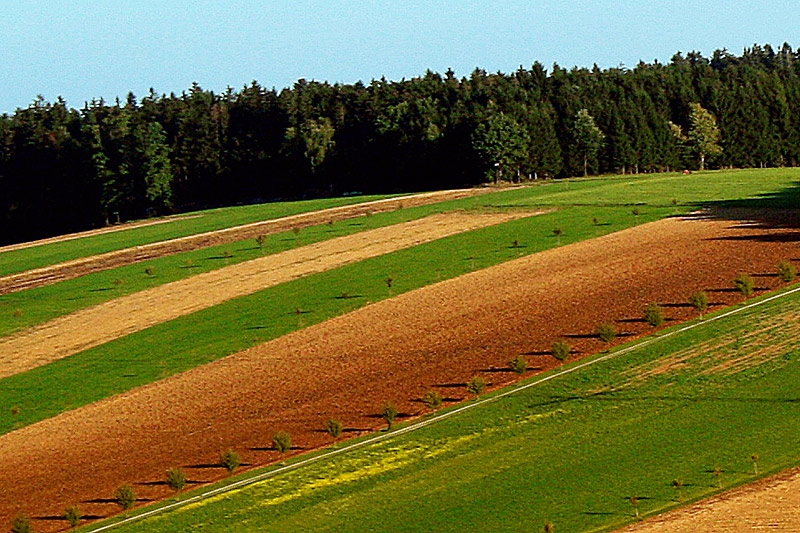 Ландшафт