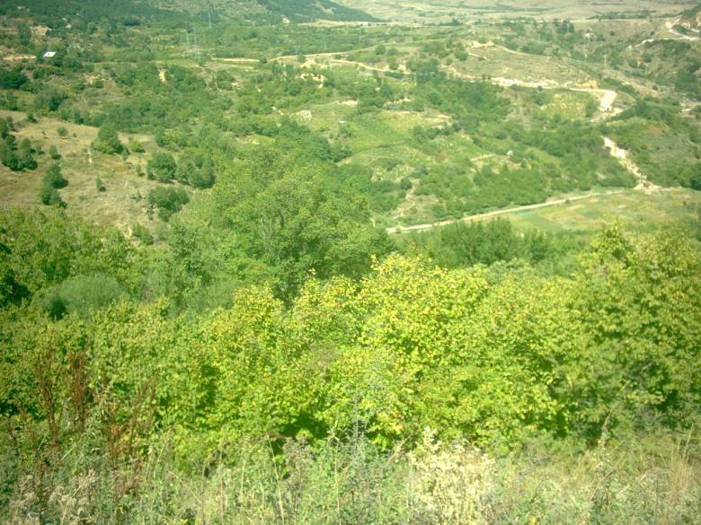 От високо
