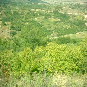 От високо