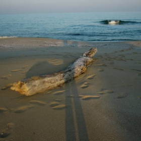зимно море
