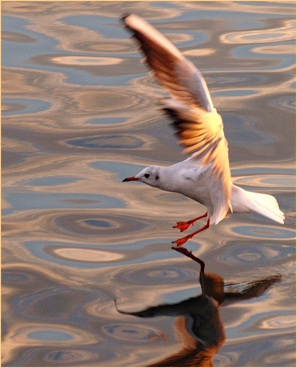 Attention...Landing!!! ;)