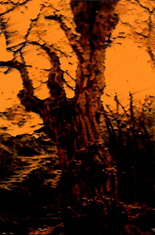 Tree Of Pain