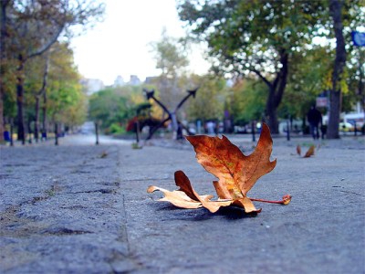 Sozopol
