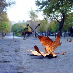 Sozopol