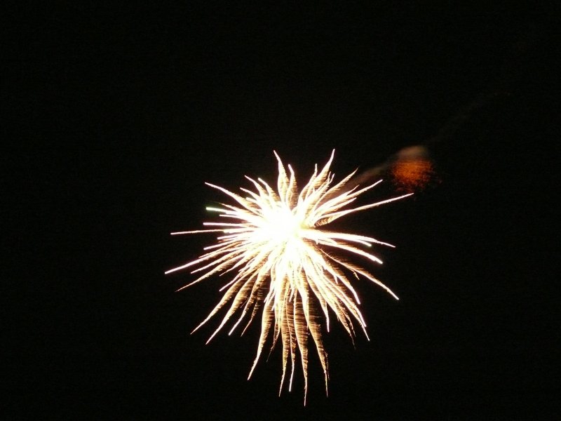zarq   01.01.2007