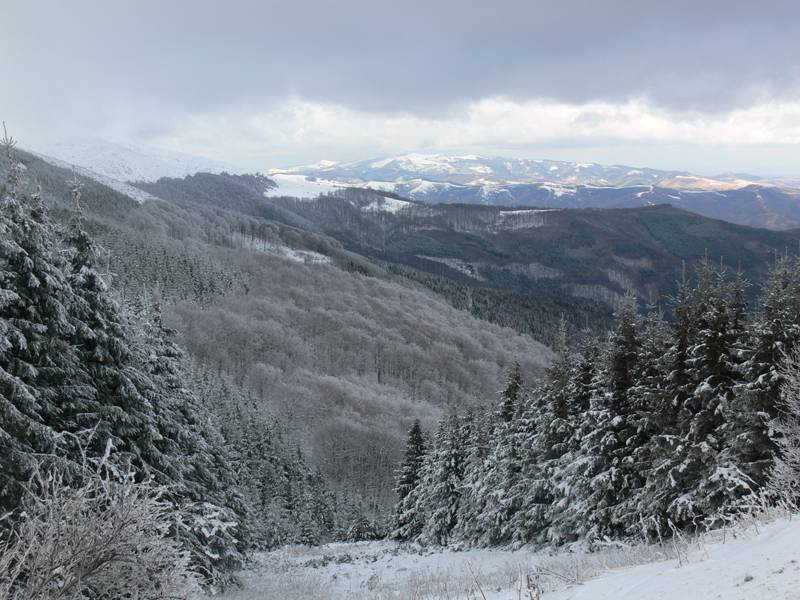 Беклемето
