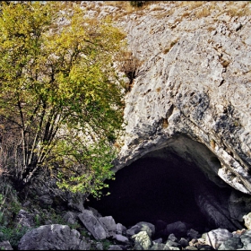 Кога ще излезе мечката?