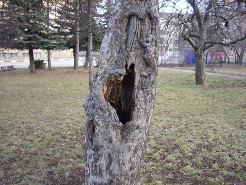 Очукан от живота и отзад