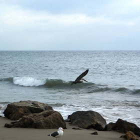 Malibu beach 1