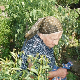 Baba sabira domati vuv zеlenata lqtna kartina