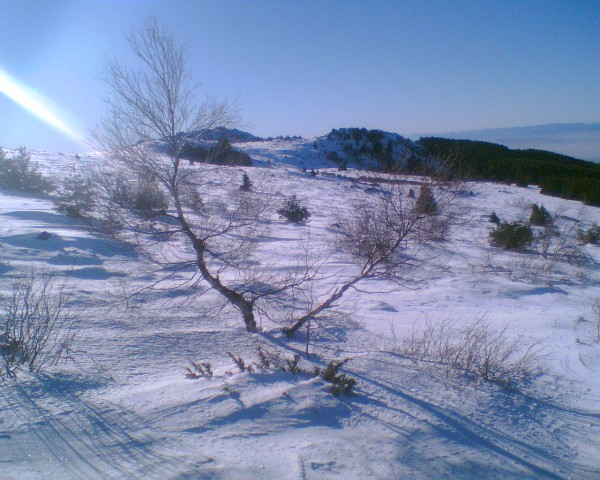 Витоша 140107