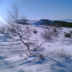 Витоша 140107