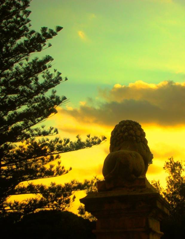 The Lion and the sunset