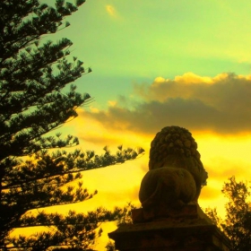 The Lion and the sunset