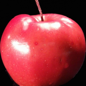 Red Apple