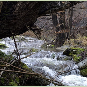 поточе с водоскоче