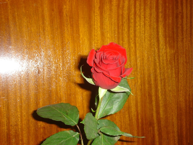 Roza